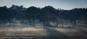 DSCF0343
