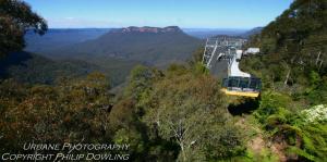 scenic world 0906